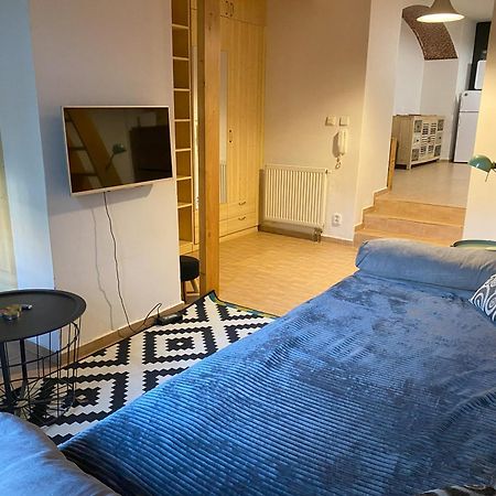 Cozy Garden Apartment In The Heart Of براغ المظهر الخارجي الصورة